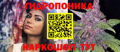 apvp Лесосибирск