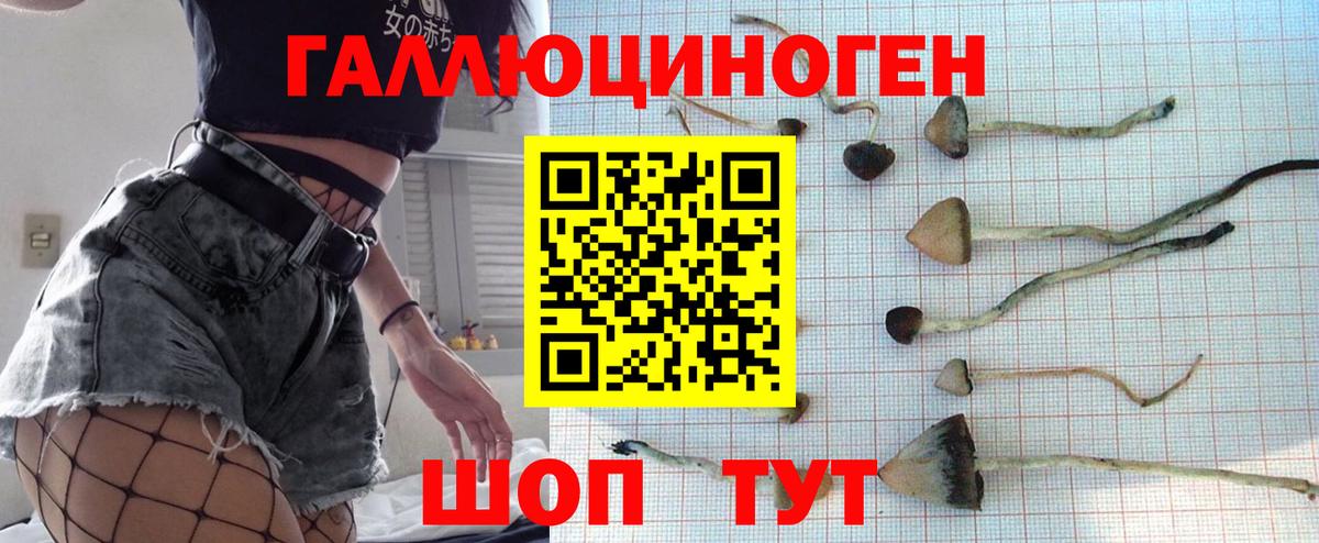 Галлюциногенные грибы мицелий  Галлюциногенные грибы Psilocybine cubensis  Тулун  Вход с VPN 